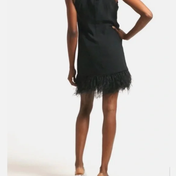 J. CREW COLLECTION $350
BLACK CREPE FEATHER TRIM
SHIFT DRESS - Picture 7 of 11